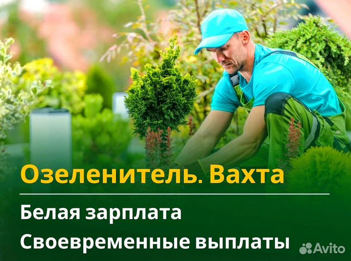 Озеленитель вахта с жильем и питанием