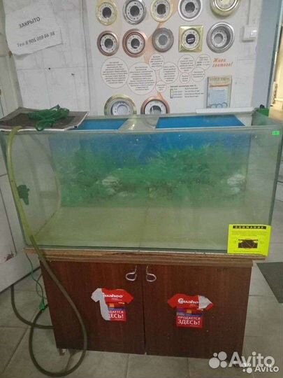 Аквариум