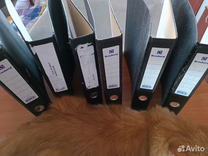 Лоток для бумаг, папки, мультифора