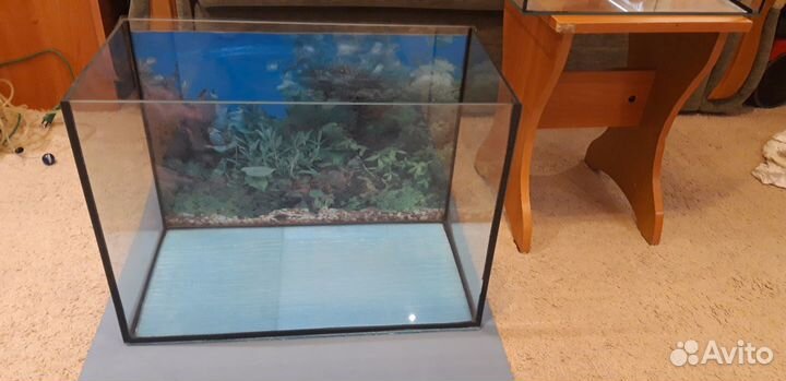 Аквариум для рыбок