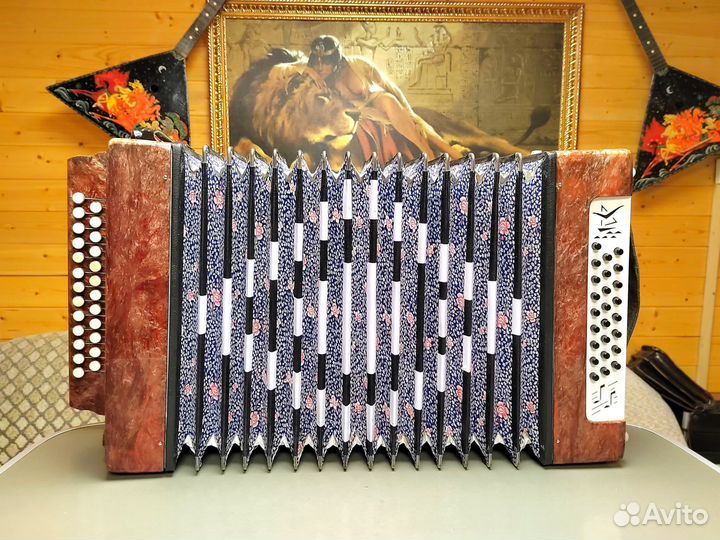 Шуйская гармонь чайка 2