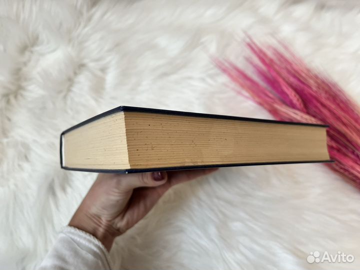 Отверженные Виктор Гюго книга