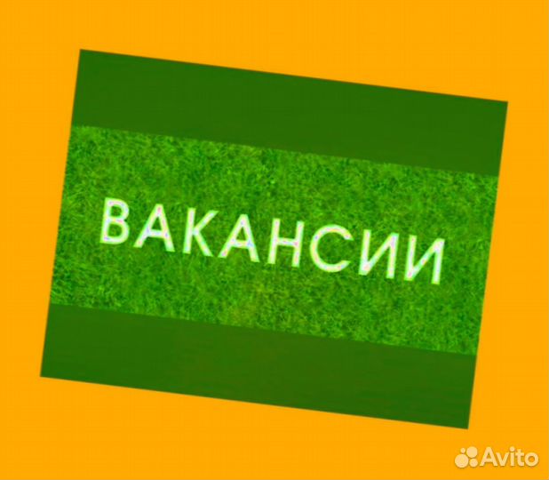 Маркировщик Еженедельный аванс М/Ж Спецодежда