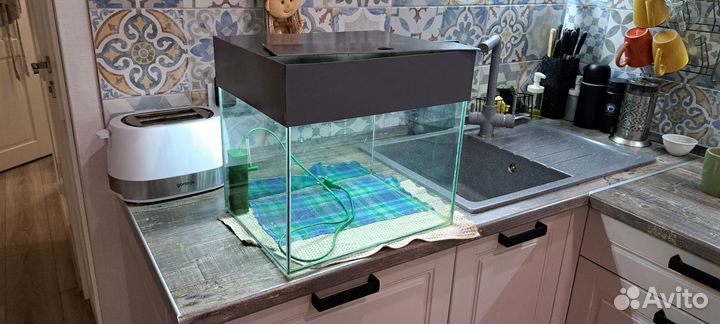 Аквариум