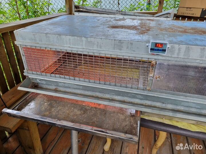 Брудер-клетка для выращивания цыплят, бу