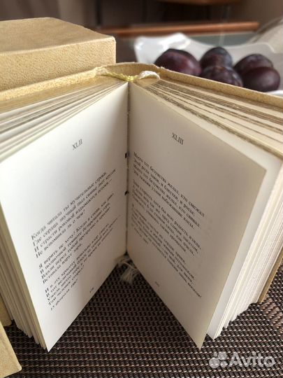 А.Фет. Вечерние огни