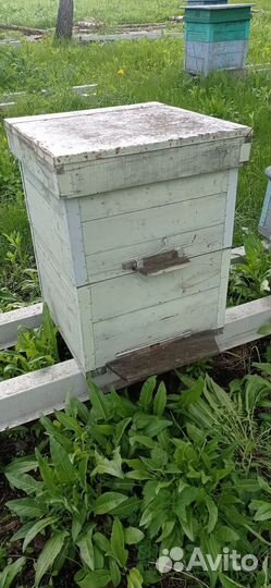 Сушь рамки для пчелиных ульев. Ульи. Кубы