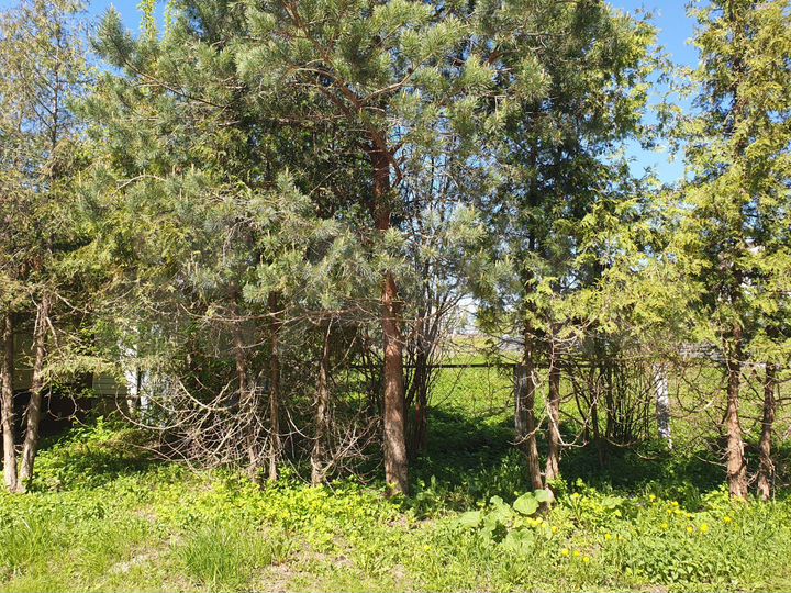 Участок 6,8 сот. (ИЖС)