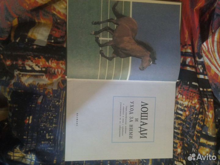 Лошади и уход за нимн, энциклопедия