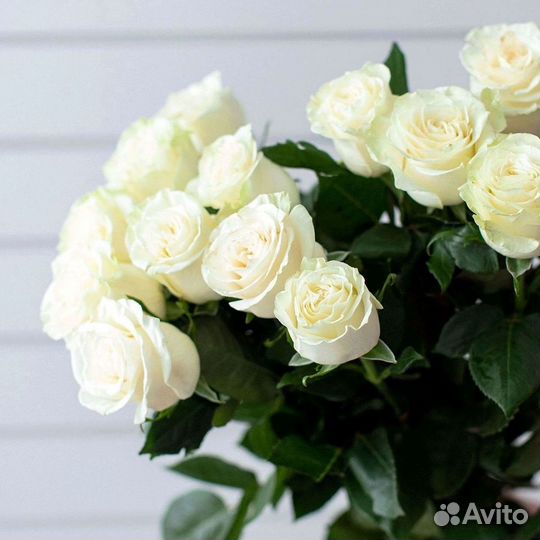 101 Роза Цветы Букеты 51 25 Роз Доставка