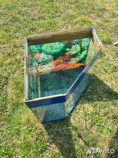Аквариум для рыбок