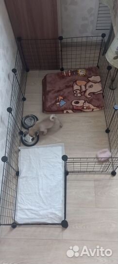 Клетка для собак