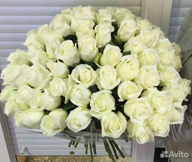 101 Роза 111 35 31 шт с доставкой Динская