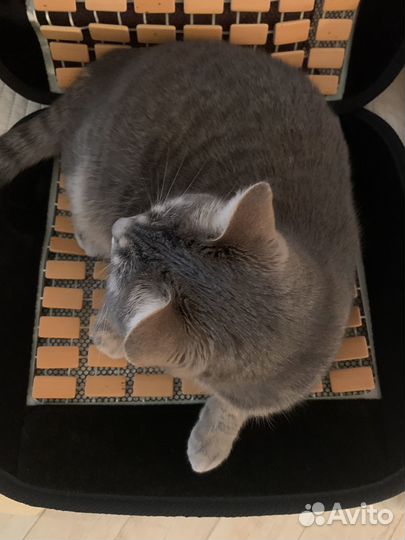 Накидка на сиденье массажная деревянная в машину