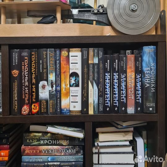 Властелин колец, Тайный оракул, Инсургент