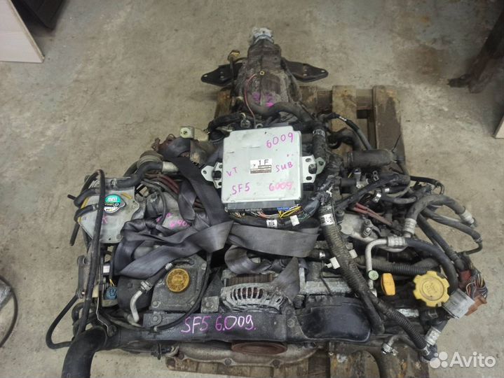 Двигатель Subaru Forester EJ205