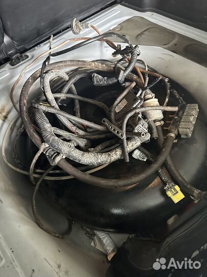 Гбо оригинал