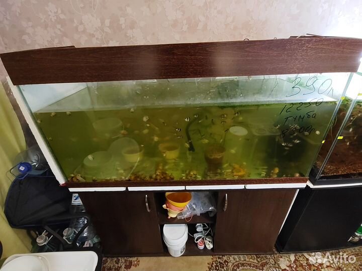 Аквариумы 100-400л с гарнитурой