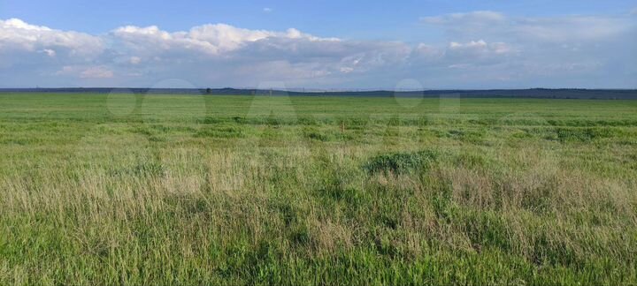 Участок 8 сот. (ИЖС)