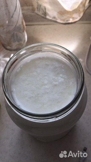 Козье молоко, масло,мацони,сметана,творог,сывротка