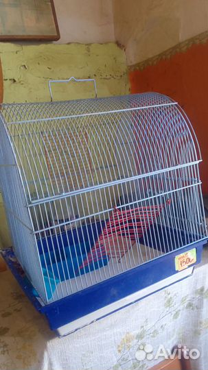 Клетка для грызунов бу