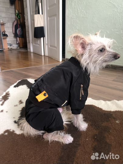Комбинезон для маленькой собаки