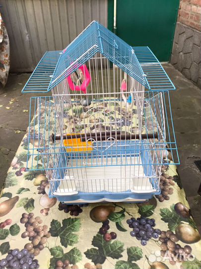 Клетка для попугая новая