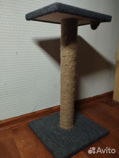 Когтеточка для котят
