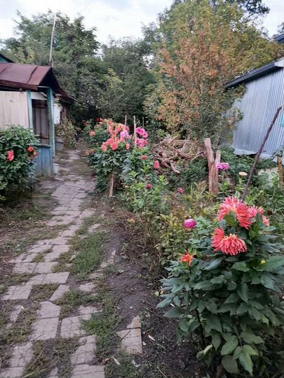 Дом 40 м² на участке 7,5 сот.