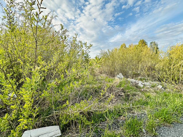 Участок 7,9 сот. (СНТ, ДНП)