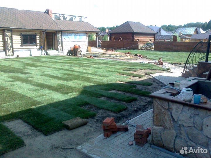 Рулонный газон - производство,доставка,укладка