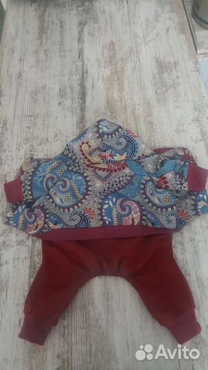 Одежда для маленьких пород собак