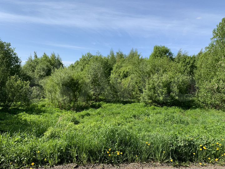 Участок 9,8 сот. (СНТ, ДНП)