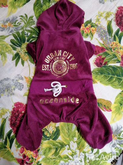 Костюмы для собаки