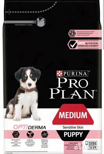 Корм для собак