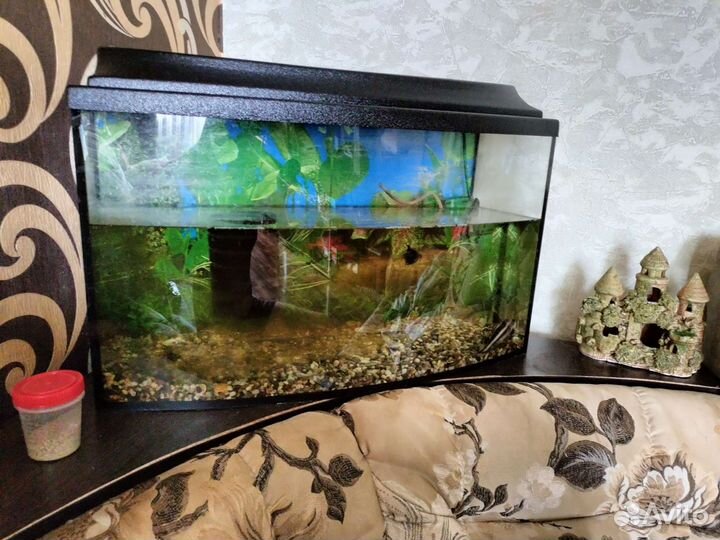 Аквариум