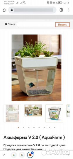 Аквариум, акваферма с рыбками