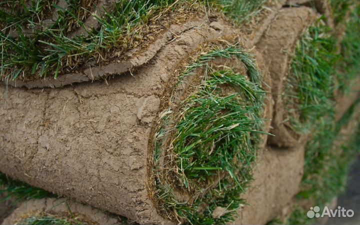 Паллеты газона рулонного