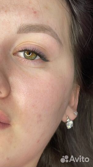 Мастер бровист