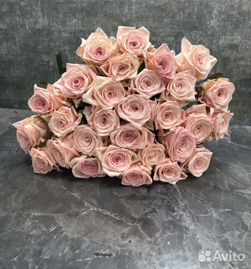 Цветы розы 25 51 101 151