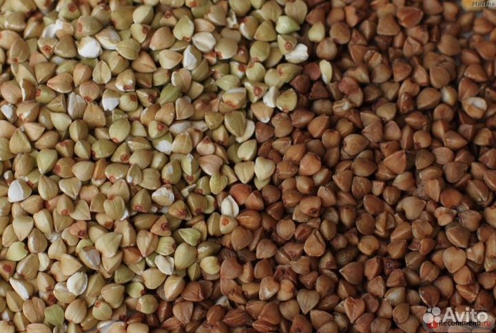 Зеленая гречка