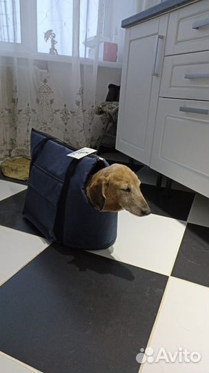 Сумка переноска для маленьких собак