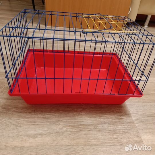 Клетка