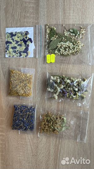 Цветы сухоцветы