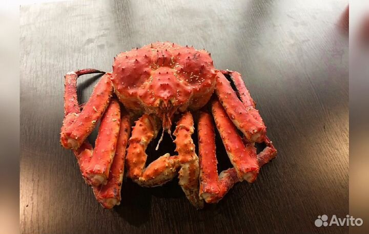 Краб Камчатский