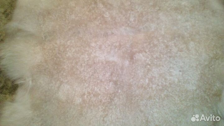 Шкура натуральная для намаза или интерьера