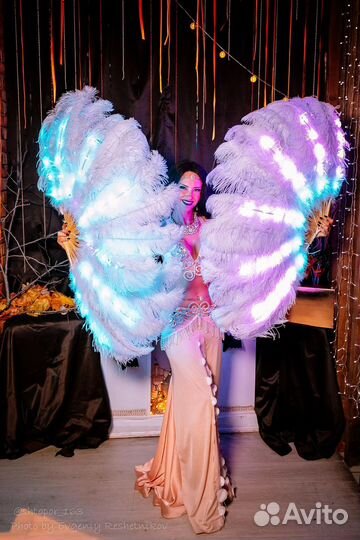 Восточные танцы и световое шоу на Ваш праздник