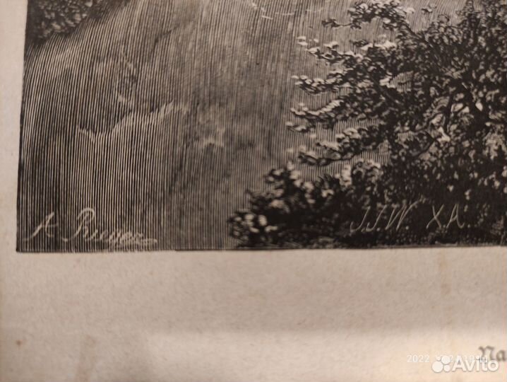 Гравюра «Водопад в Пиренеях» Albert Rieger