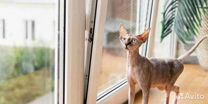 Окна пластиковые