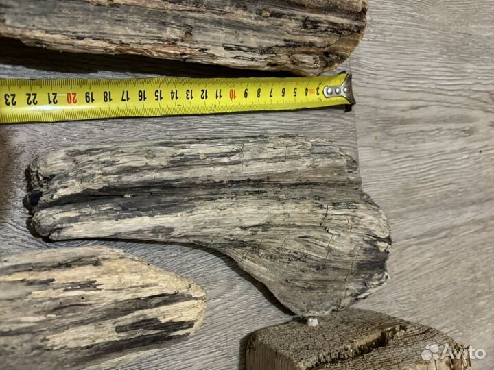 Коряги дрифтвуд набор 6 штук основа
